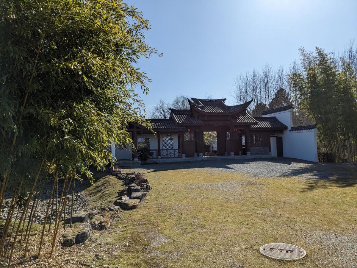 High Point Guesthouse - Next To Seattle Chinese Garden Exterior foto